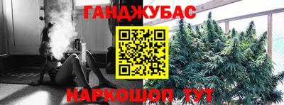 молекула духа Бийск