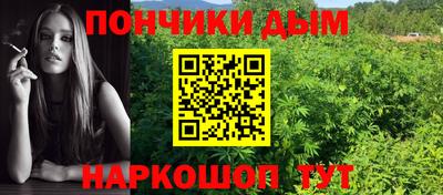 молекула духа Бийск