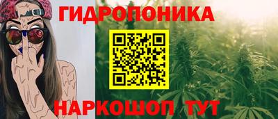 молекула духа Бийск