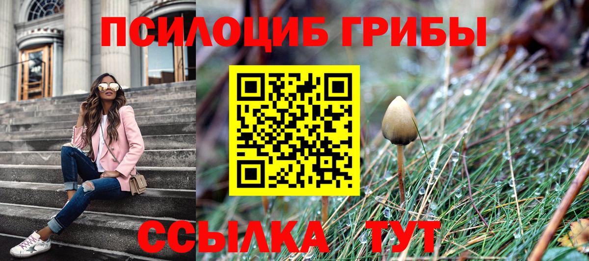 Псилоцибиновые грибы мухоморы Камышлов