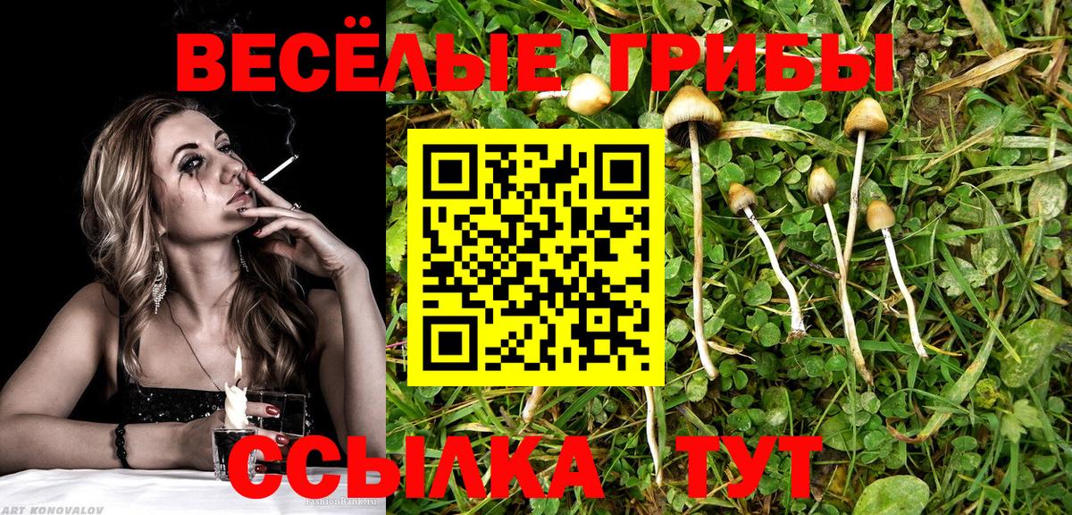 Камышлов  Галлюциногенные грибы прущие грибы  Вход с VPN 