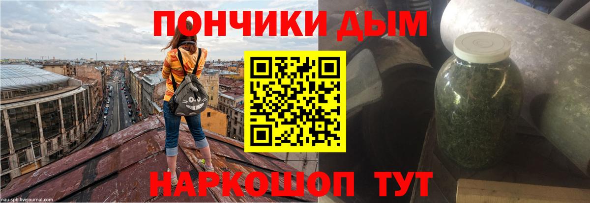 Бошки Шишки марихуана  Вход с VPN  Камышлов  Марихуана план 